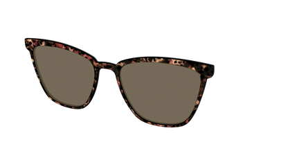 The Polarized Sienna Tortoise Sun Top