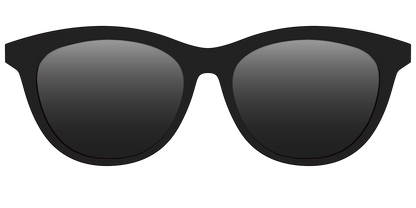 The Polarized Black Sun Top