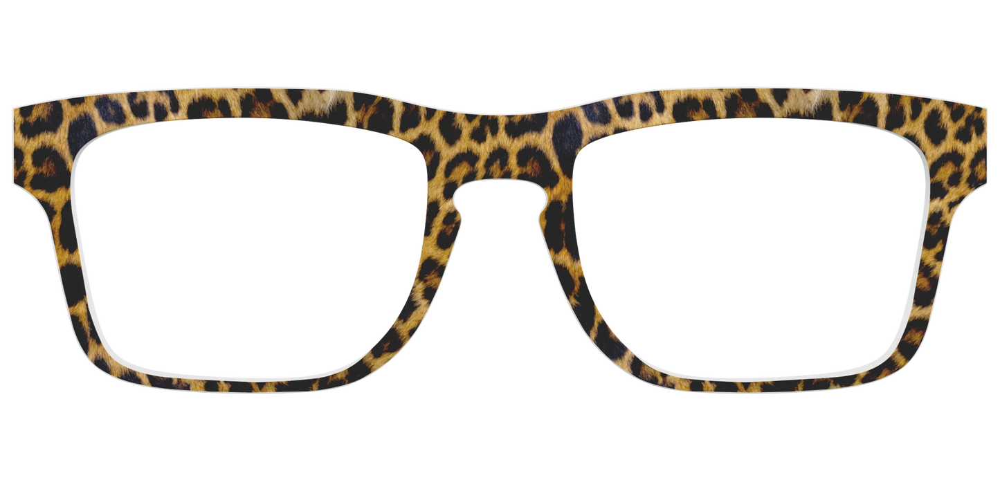 The Cheetah Spots