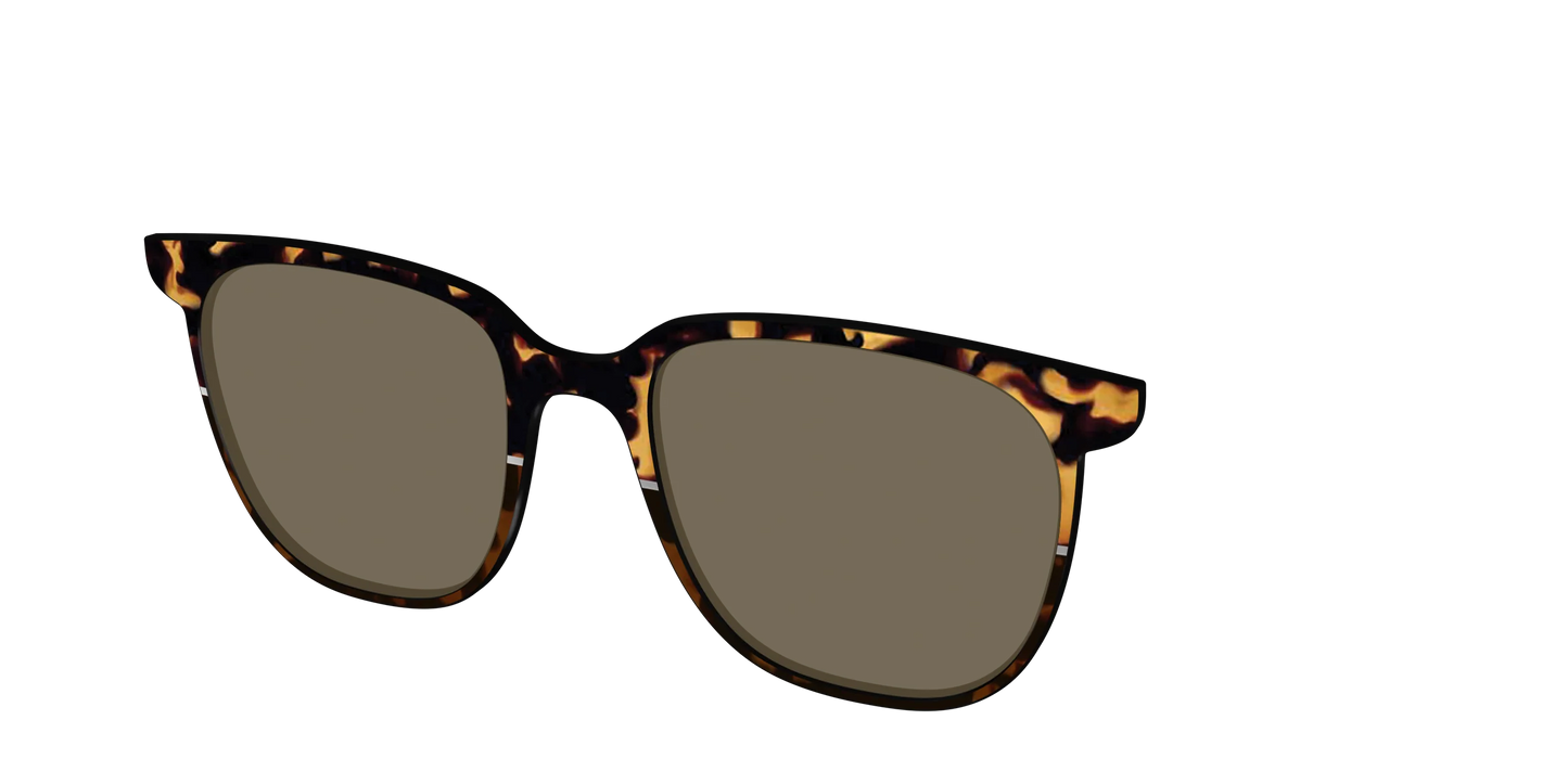 The Polarized Chic Tortoise Split Sun Top