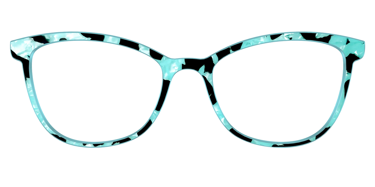 The Robin's Egg Pearl Tortoise