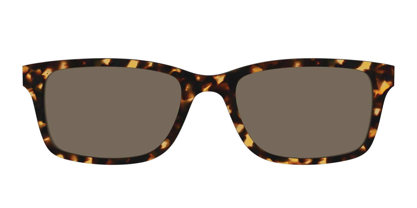 The Non-Polarized Tortoise Sun Top