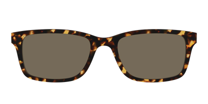The Non-Polarized Tortoise Sun Top
