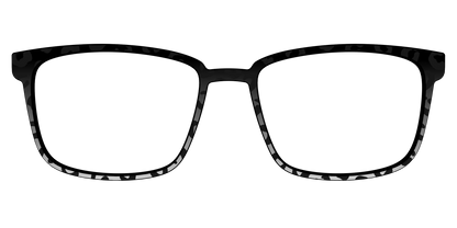 The Black Cheetah
