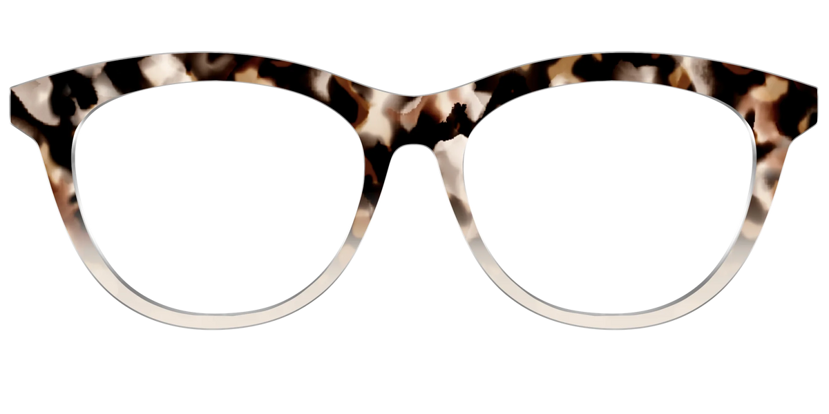 The Vanilla Latte Tortoise