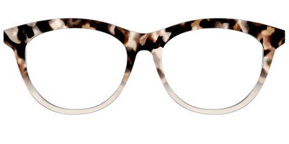 The Vanilla Latte Tortoise