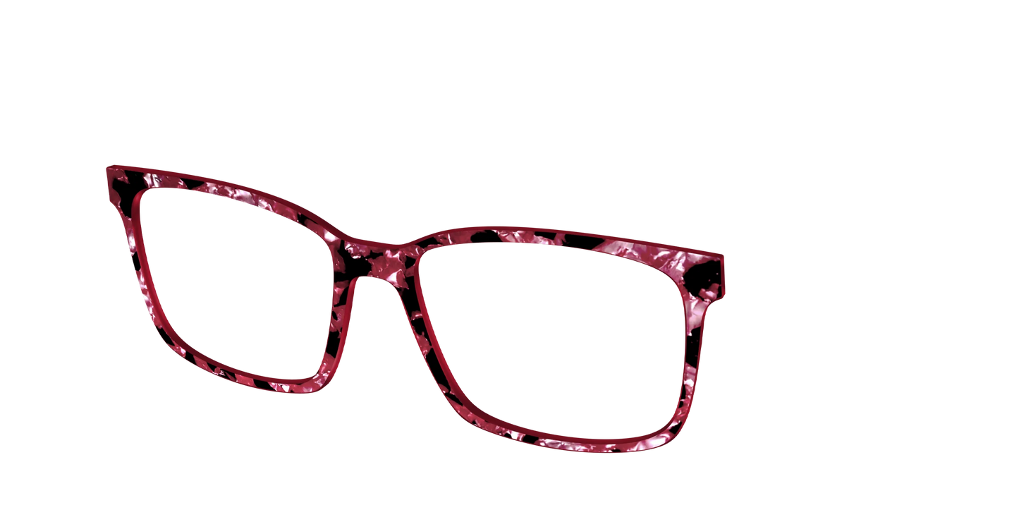 The Raspberry Pearl Tortoise