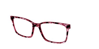 The Raspberry Pearl Tortoise