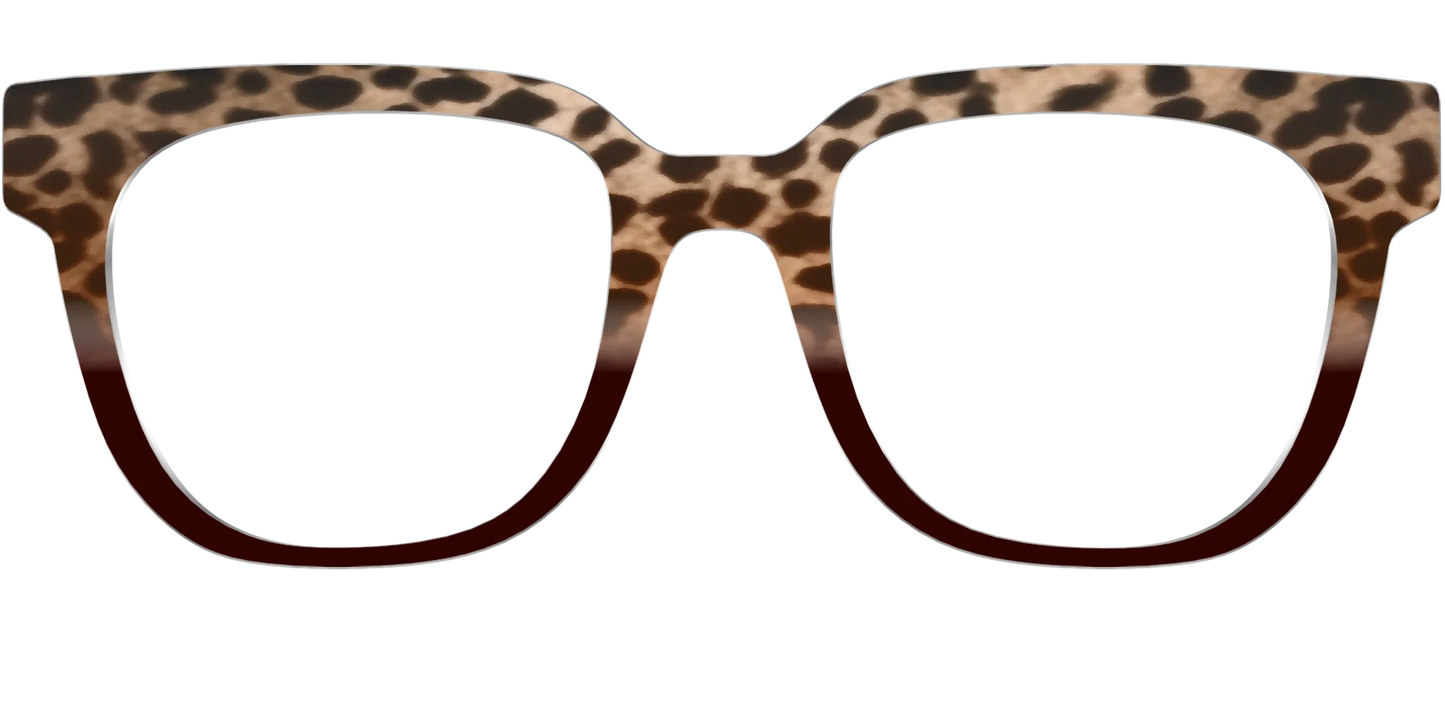 The Jungle Cat Tortoise