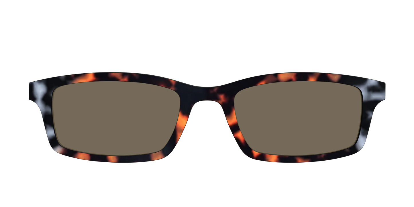 The Polarized Gray & Amber Tortoise Sun Top