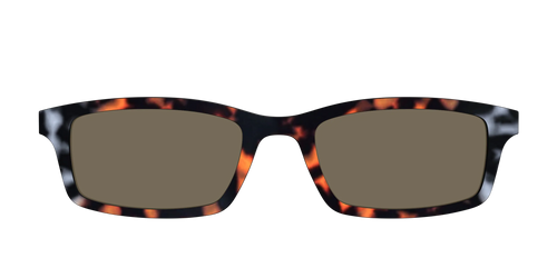 The Polarized Gray & Amber Tortoise Sun Top