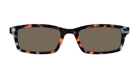 The Polarized Gray & Amber Tortoise Sun Top