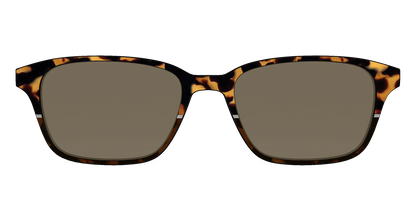 The Polarized Chic Tortoise Split Sun Top