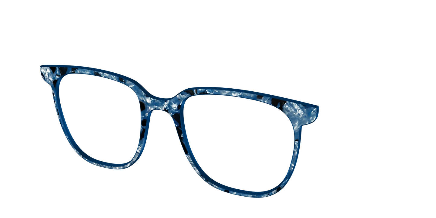 The Midnight Blue Pearl Tortoise