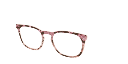 The Pale Peach Pearl Tortoise