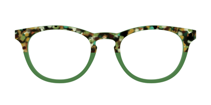 The Forest Tortoise Crystal Split