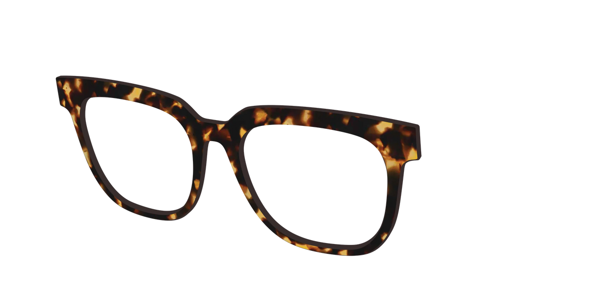 The Tortoise