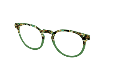 The Forest Tortoise Crystal Split