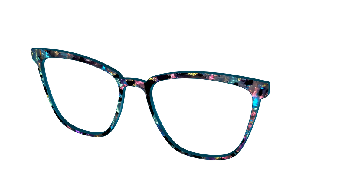 The Black Prismatic Pearl Tortoise