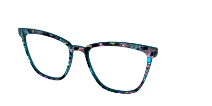 The Black Prismatic Pearl Tortoise