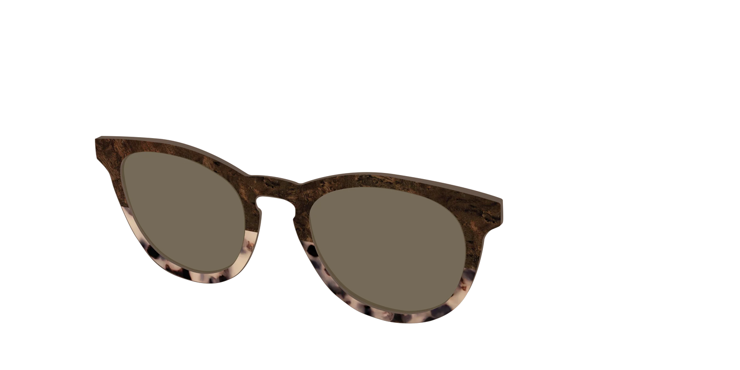 The Polarized Dark Oak Tortoise Split Sun Top