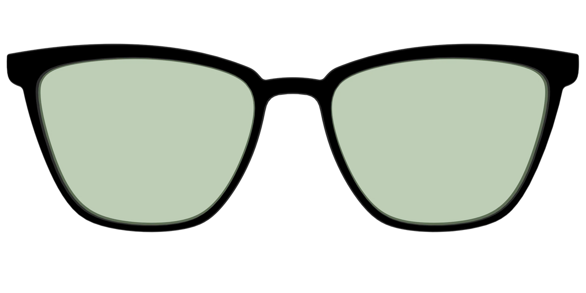The Black With Sage Green Lens