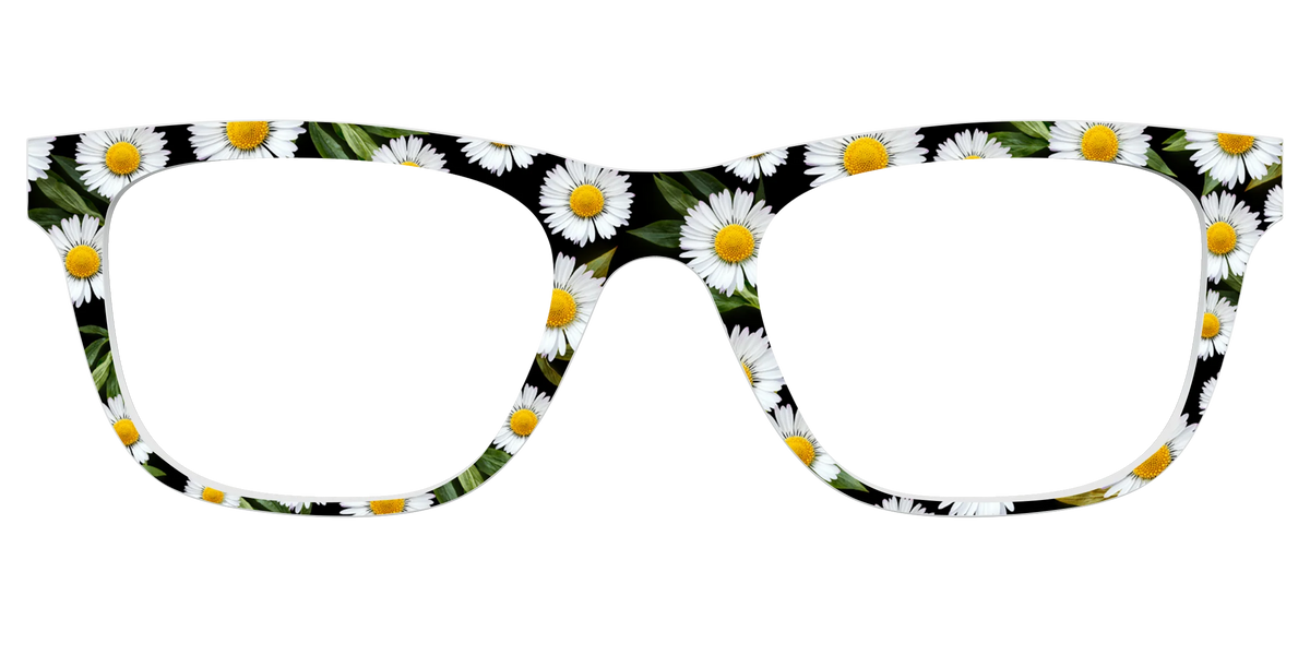 The Delicate Daisies