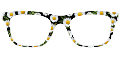 The Delicate Daisies