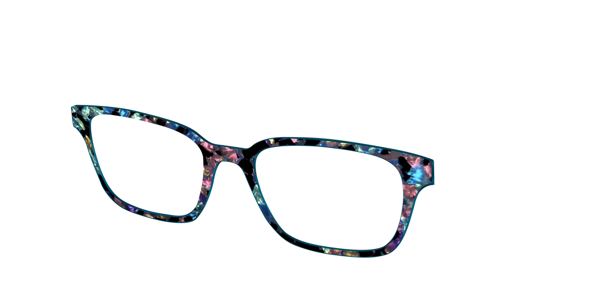 The Black Prismatic Pearl Tortoise