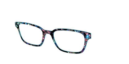 The Black Prismatic Pearl Tortoise