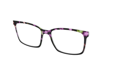 The Boysenberry Tortoise