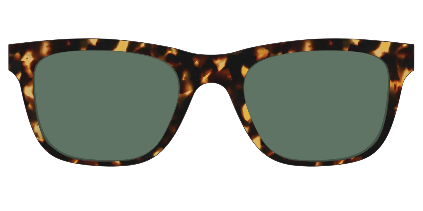 The Non-Polarized Green Tortoise Sun Top
