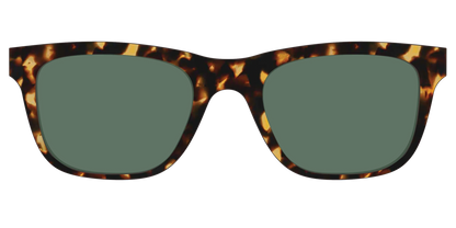 The Non-Polarized Green Tortoise Sun Top