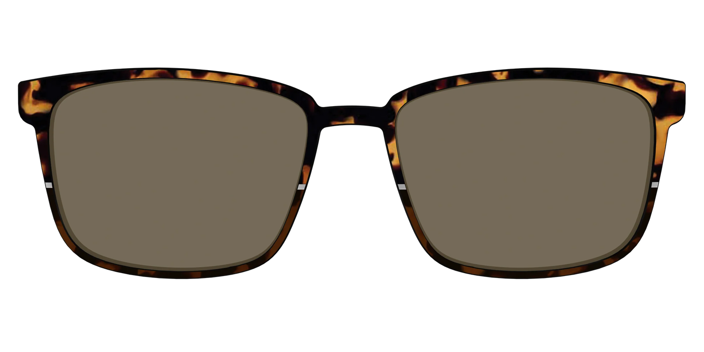 The Polarized Chic Tortoise Split Sun Top