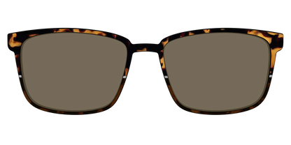 The Polarized Chic Tortoise Split Sun Top