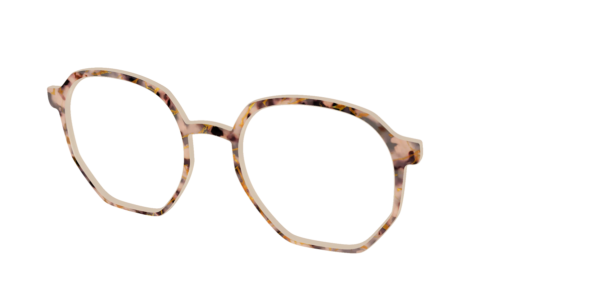 The Almond Tortoise with Gold Streaks