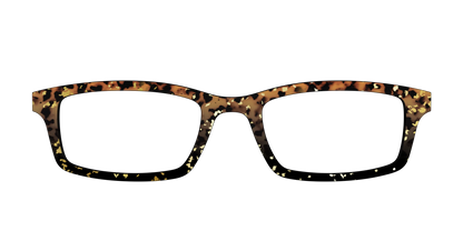The Rustic Gold Leaf Tortoise