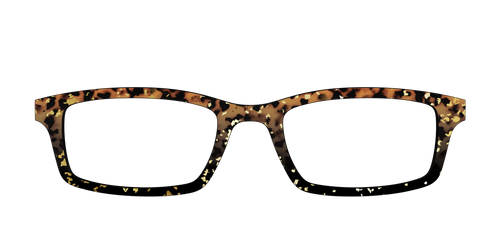 The Rustic Gold Leaf Tortoise