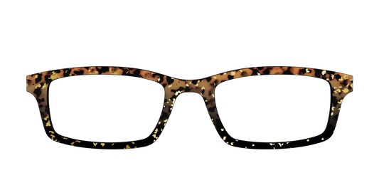 The Rustic Gold Leaf Tortoise