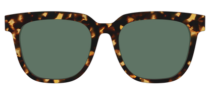 The Non-Polarized Green Tortoise Sun Top