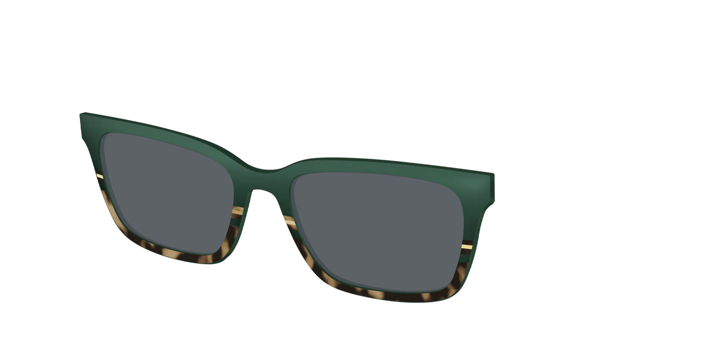 The Polarized Spruce Tortoise Sun Top