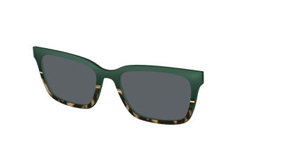 The Polarized Spruce Tortoise Sun Top