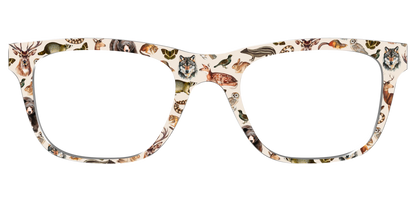 The Wildlife Illustrations