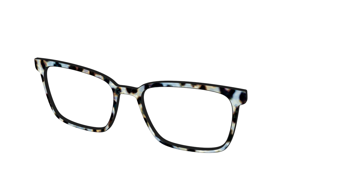 The Earl Grey Tortoise