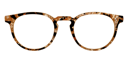 The Caramel Pearl Tortoise