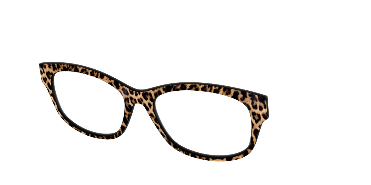 The Cheetah Spots