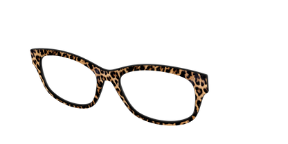 The Cheetah Spots
