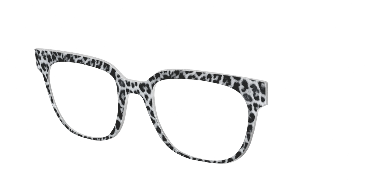 The Snow Leopard Spots