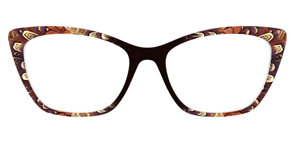 The Pheasant Feathers