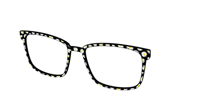 The Black Daisy
